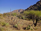 photo thumbnail #3