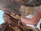 photo thumbnail #4