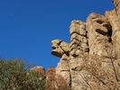 photo thumbnail #14
