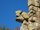 photo thumbnail #15