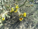 2007-04-13 :3: Martinez Canyon via Box Canyon :: outdoor_lover