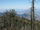 photo thumbnail #5