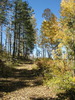 photo thumbnail #7