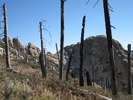 photo thumbnail #8