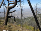 photo thumbnail #10