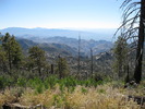 photo thumbnail #12