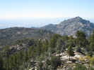 photo thumbnail #13