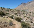 photo thumbnail #15