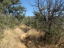 photo thumbnail #2