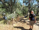 photo thumbnail #4