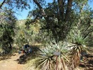 photo thumbnail #5