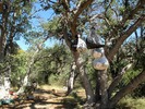 photo thumbnail #6