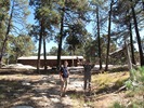 photo thumbnail #10