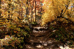 photo thumbnail #12