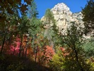 photo thumbnail #7