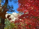 photo thumbnail #9