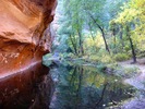 photo thumbnail #14