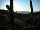 photo thumbnail #2