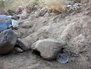 photo thumbnail #3