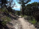 photo thumbnail #6