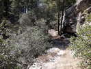 photo thumbnail #7