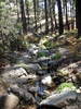 photo thumbnail #9