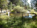 photo thumbnail #13