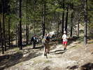 photo thumbnail #14