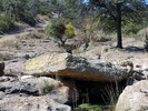 photo thumbnail #6
