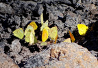 photo thumbnail #14