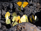 photo thumbnail #15