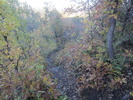 photo thumbnail #13