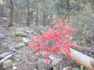 photo thumbnail #4
