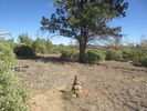 photo thumbnail #12