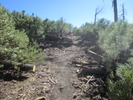 photo thumbnail #14