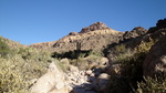 photo thumbnail #9