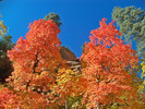photo thumbnail #14
