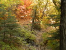 photo thumbnail #13