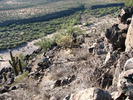 photo thumbnail #10