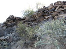 photo thumbnail #12