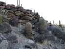 photo thumbnail #13