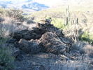 photo thumbnail #15