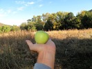 photo thumbnail #3