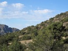 photo thumbnail #4