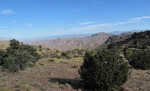 photo thumbnail #5