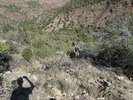 photo thumbnail #12