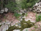 photo thumbnail #14