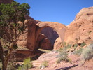 photo thumbnail #3