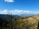 photo thumbnail #5