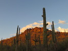 photo thumbnail #2